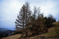 /album/caspo-sk/dsc-2798-jpg/