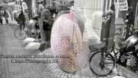 /album/fotogaleria-fotogaleria/dsc-3151-jpg/