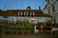 /album/fotogaleria-caspo-photography-sb/dsc-8555-jpg2/