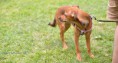 /album/fotogaleria-den-rodiny/dsc-8789-jpg/