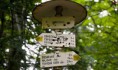 /album/fotogaleria-fotogaleria1/dsc-0008-jpg/