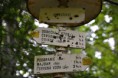 /album/fotogaleria-fotogaleria1/dsc-0009-jpg/