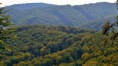 /album/fotogaleria-fotogaleria1/dsc-0015-jpg/