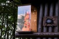 /album/fotogaleria-fotogaleria1/dsc-0029-jpg/