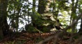 /album/fotogaleria-fotogaleria1/dsc-0043-jpg/