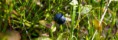 /album/fotogaleria-fotogaleria1/dsc-0047-jpg/