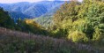 /album/fotogaleria-fotogaleria1/dsc-0079-jpg/